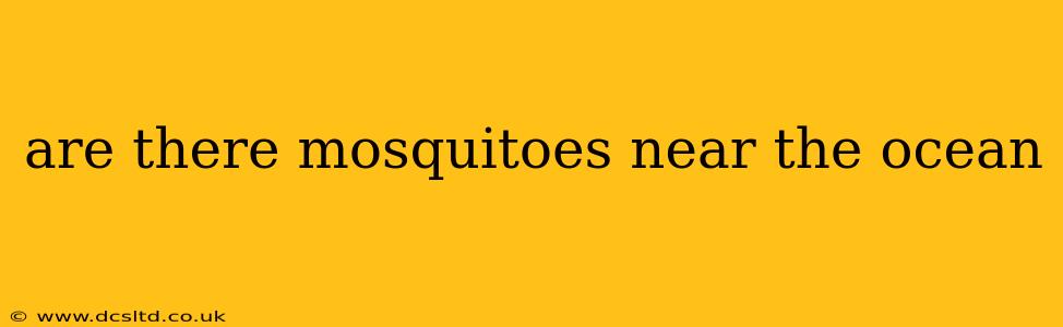 are there mosquitoes near the ocean