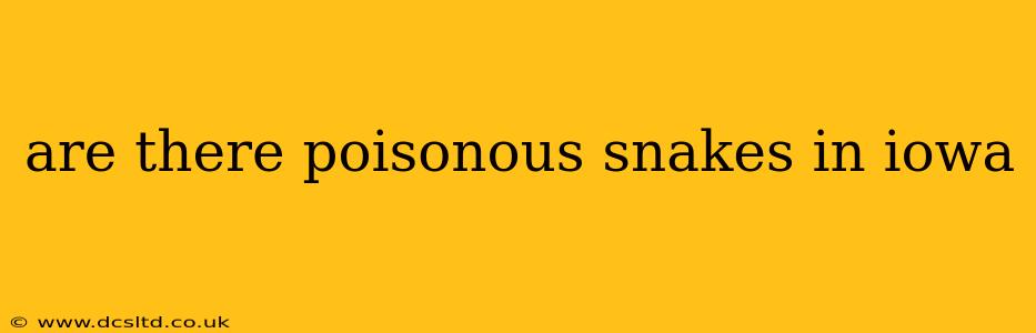 are there poisonous snakes in iowa