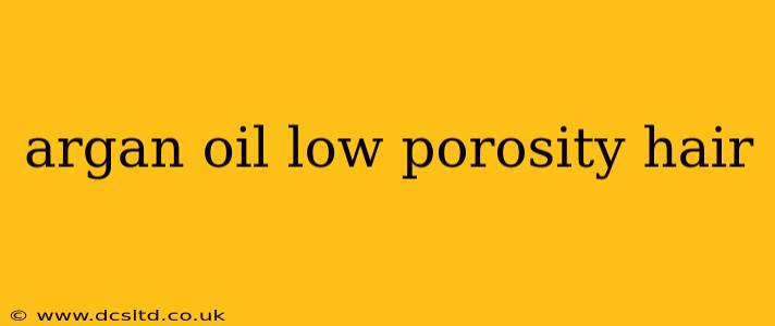 argan oil low porosity hair