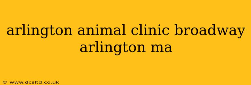 arlington animal clinic broadway arlington ma