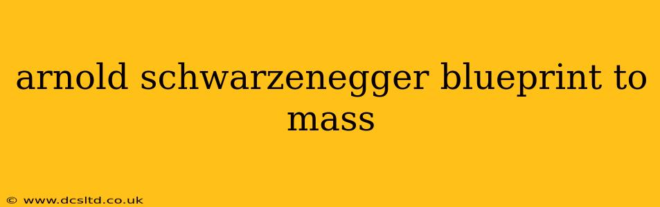arnold schwarzenegger blueprint to mass
