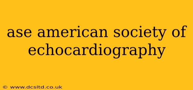 ase american society of echocardiography