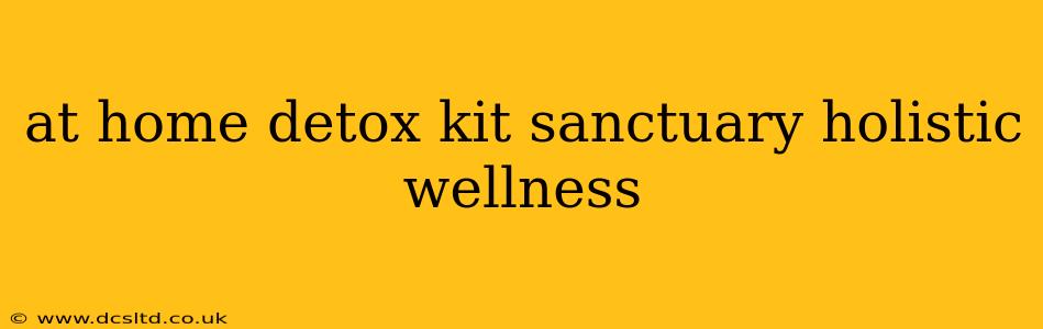 at home detox kit sanctuary holistic wellness