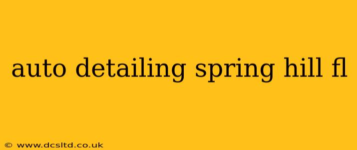 auto detailing spring hill fl
