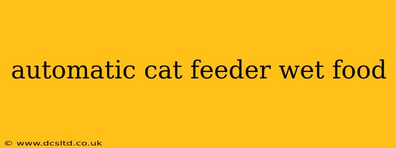automatic cat feeder wet food