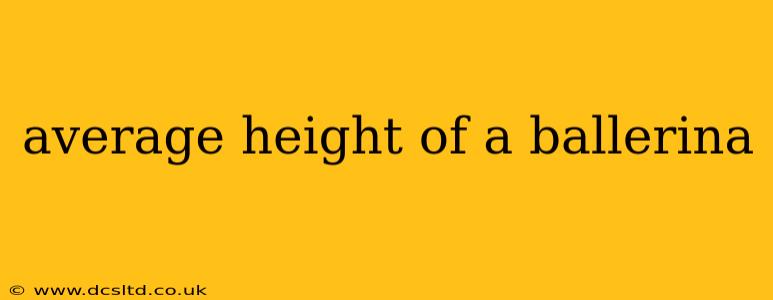 average height of a ballerina