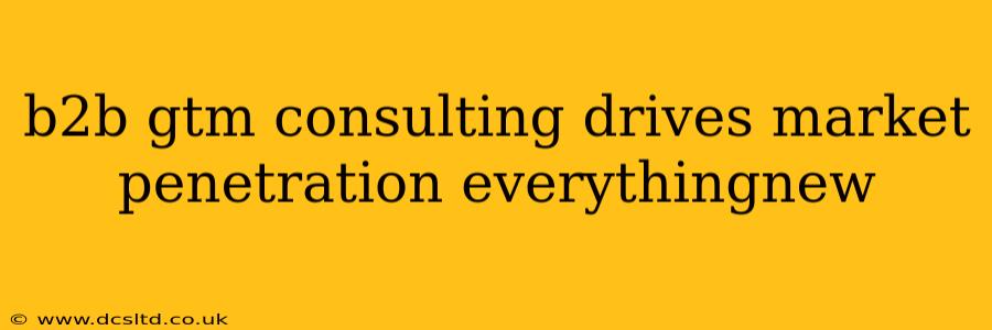 b2b gtm consulting drives market penetration everythingnew