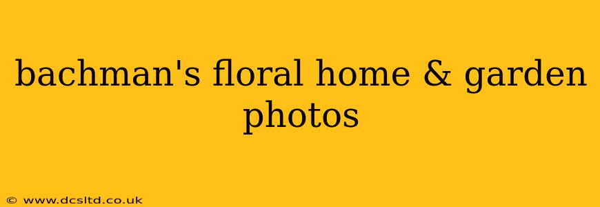 bachman's floral home & garden photos