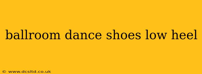ballroom dance shoes low heel
