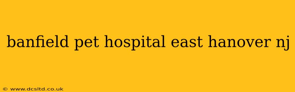 banfield pet hospital east hanover nj