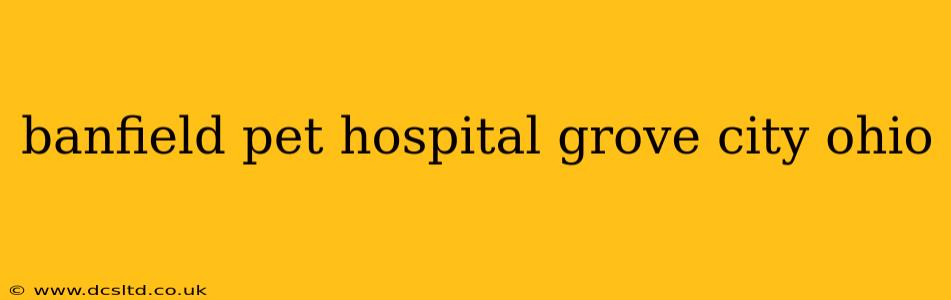 banfield pet hospital grove city ohio
