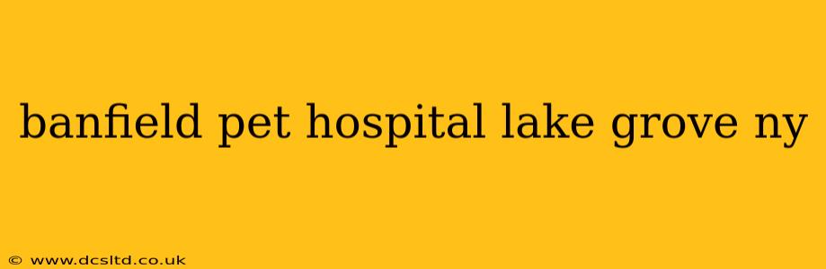 banfield pet hospital lake grove ny