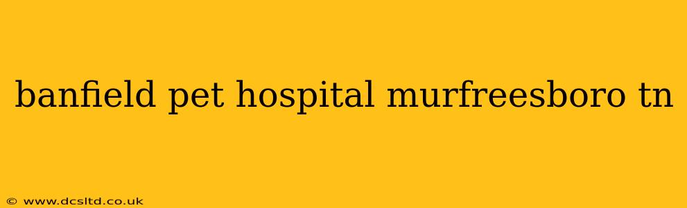 banfield pet hospital murfreesboro tn