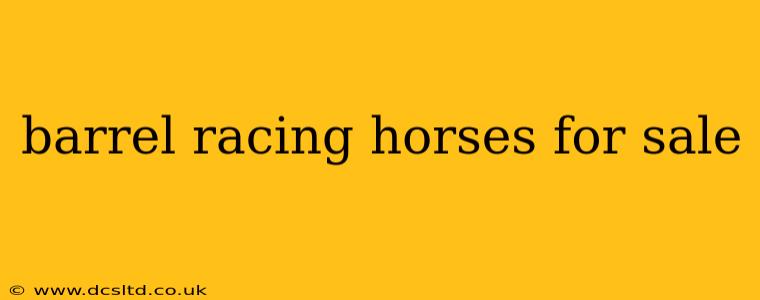 barrel racing horses for sale