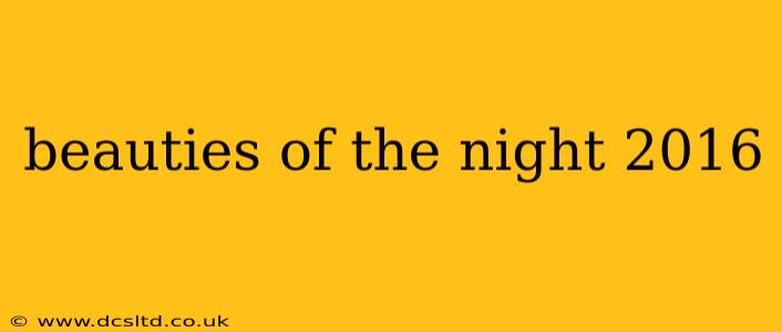 beauties of the night 2016