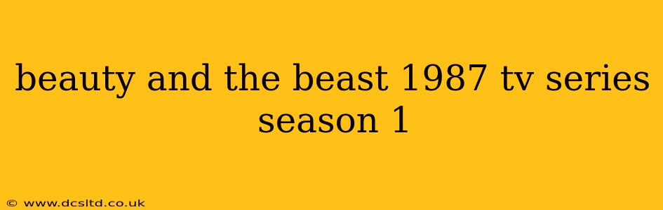 beauty and the beast 1987 tv series season 1