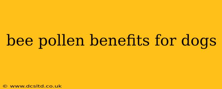 bee pollen benefits for dogs