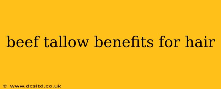 beef tallow benefits for hair