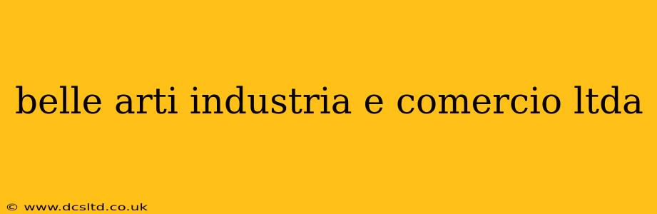 belle arti industria e comercio ltda