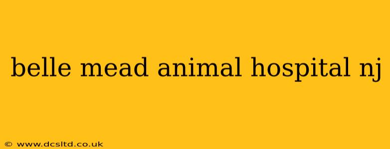 belle mead animal hospital nj