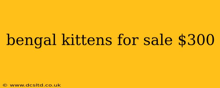 bengal kittens for sale $300