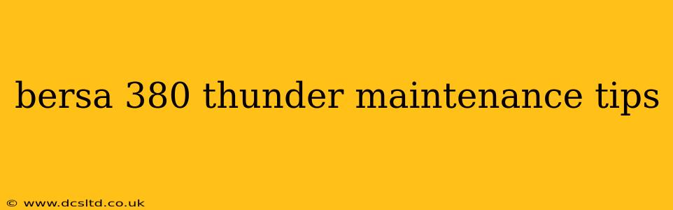 bersa 380 thunder maintenance tips