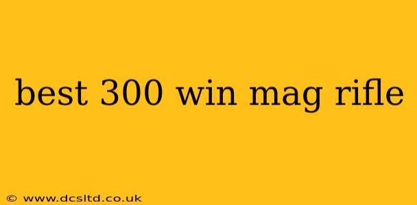 best 300 win mag rifle