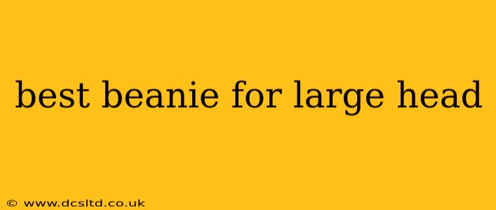 best beanie for large head