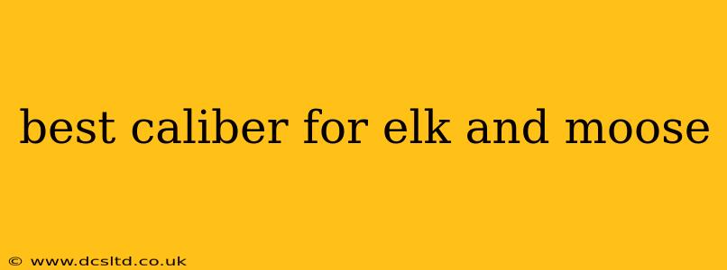 best caliber for elk and moose