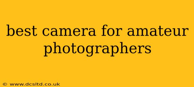 best camera for amateur photographers
