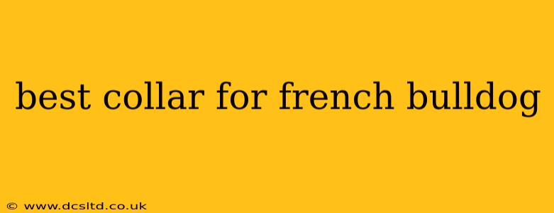 best collar for french bulldog