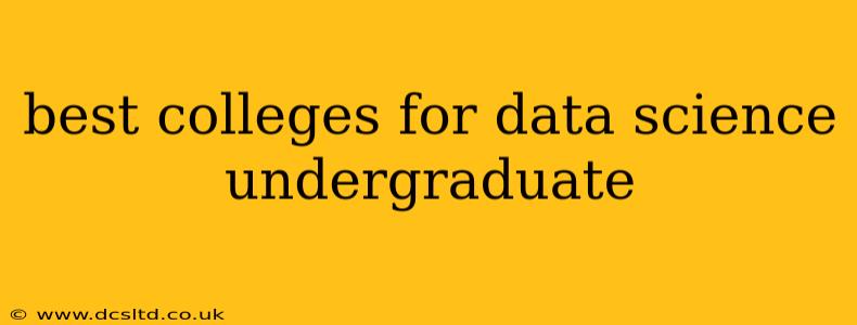 best colleges for data science undergraduate