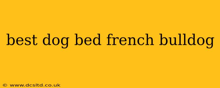 best dog bed french bulldog