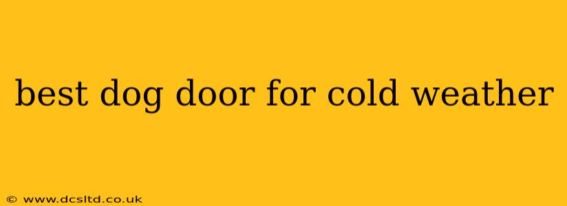 best dog door for cold weather