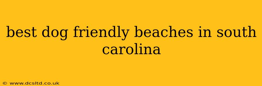 best dog friendly beaches in south carolina