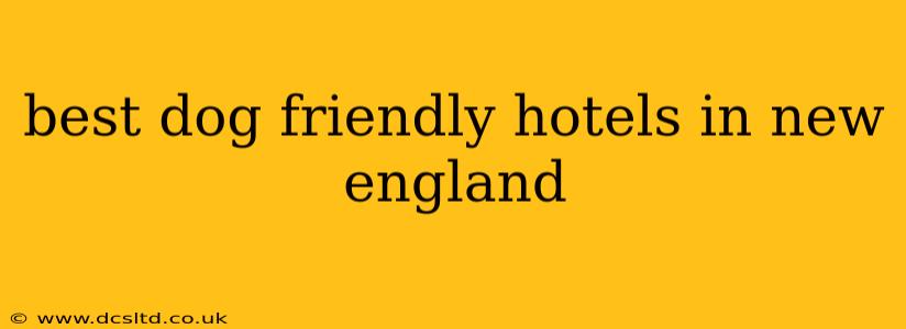 best dog friendly hotels in new england
