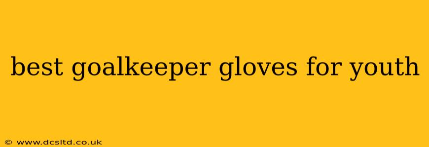 best goalkeeper gloves for youth