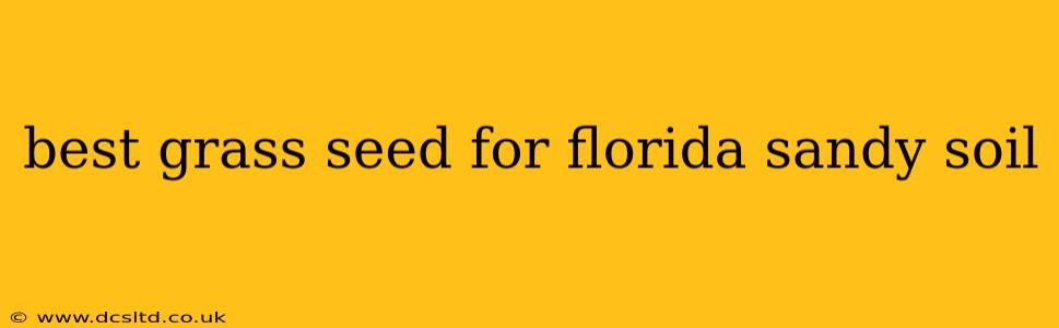 best grass seed for florida sandy soil