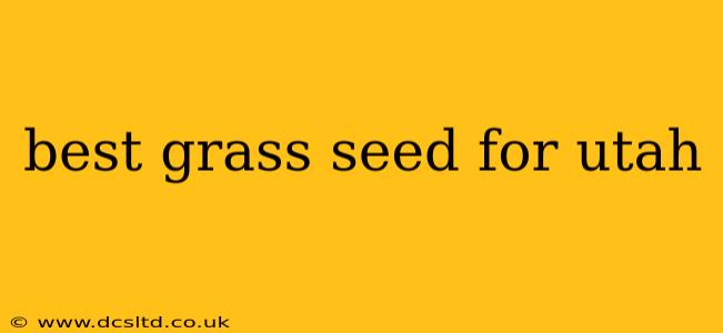 best grass seed for utah
