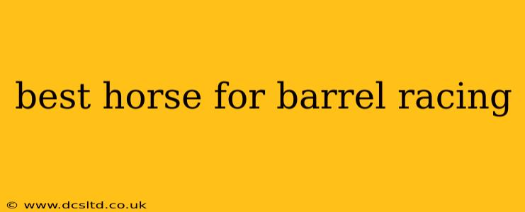 best horse for barrel racing
