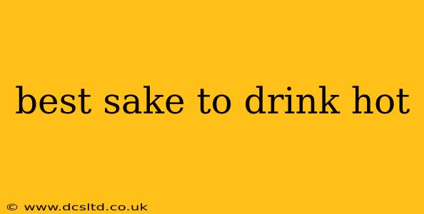 best sake to drink hot