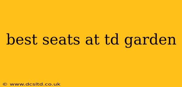 best seats at td garden