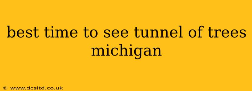 best time to see tunnel of trees michigan