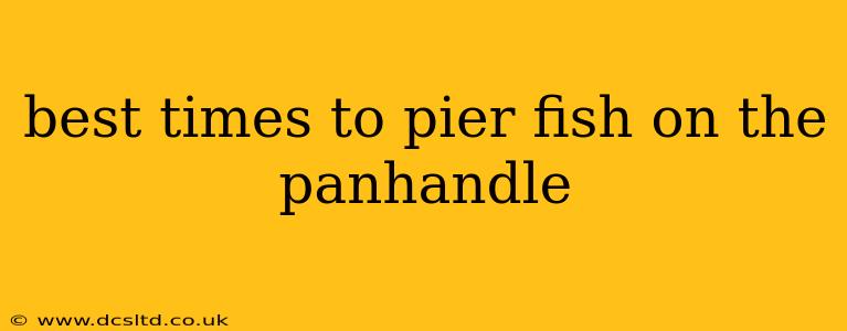 best times to pier fish on the panhandle