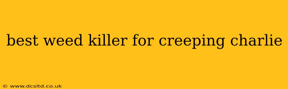 best weed killer for creeping charlie