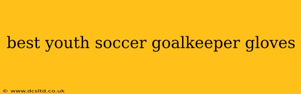 best youth soccer goalkeeper gloves