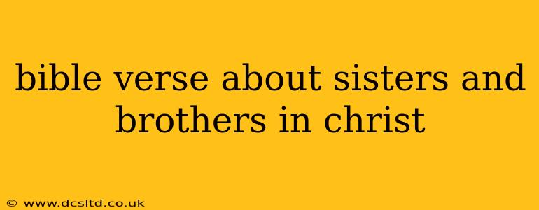 bible verse about sisters and brothers in christ