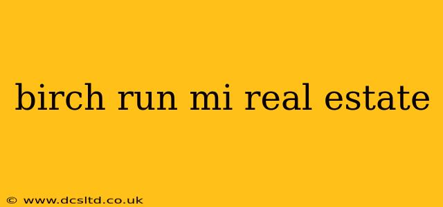 birch run mi real estate