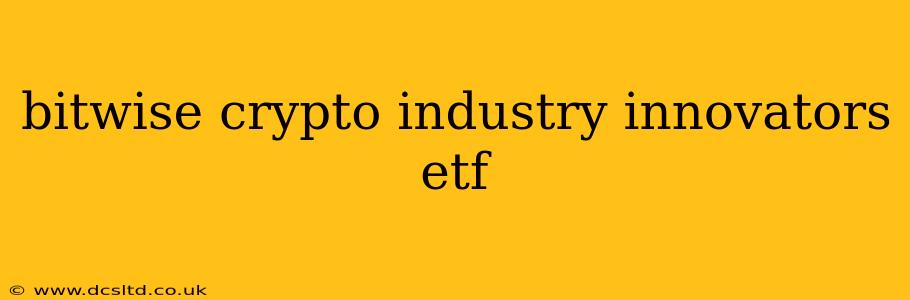 bitwise crypto industry innovators etf