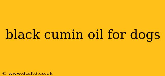 black cumin oil for dogs